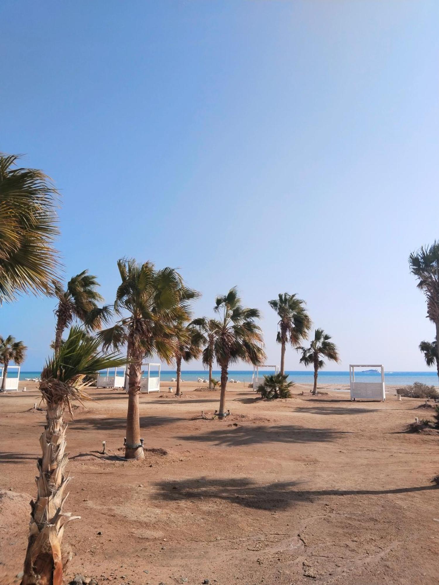 Jutta Deluxe 2,5-bedroom-apartment Mangroovy-m10 El Gouna Apartman *